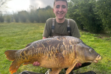 The fish are feeding - 1