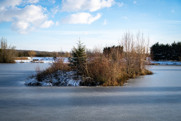 A cold morning on Deux Iles - 2