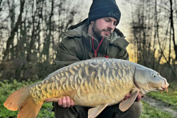 Christmas session - 3