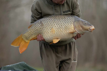 Team Nutrabaits Fish Brocard Large - 1