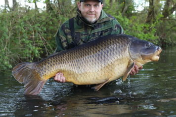 Old Oaks - Doing what it does best! - 1