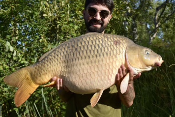 SUNSHINE AND 40'S - 1