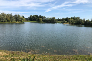 Water Level Update - 7