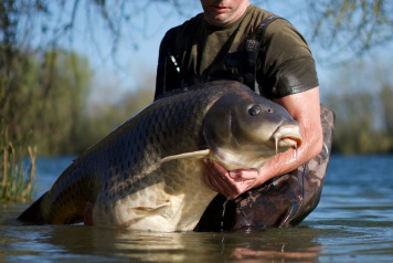 70lber on the bank! - 2