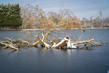 A Cold Morning on Seigneurie - 4