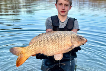 New Additional Stock - 6