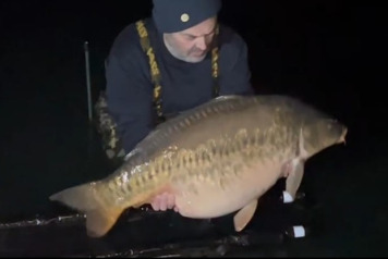 Another incredible growth story! - 1