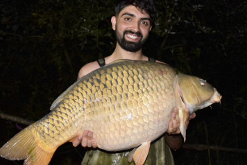 SUNSHINE AND 40'S - 3