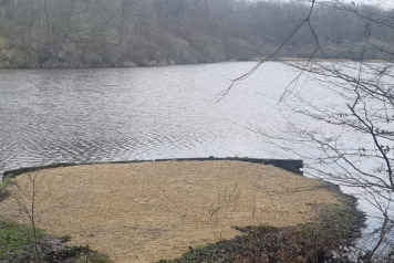 Swims Resurfaced - 1