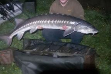 Fish deaths at Blue Lake - 5