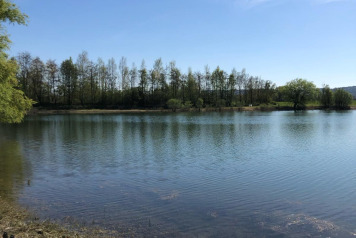 Water Level Update - 8