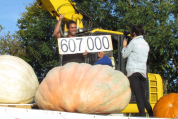 Giant Vegetables Results  - 1