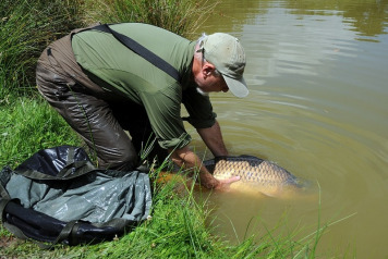 Bill & Linda's Excellent Adventure - 1