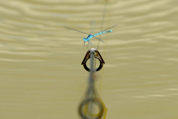 Bill & Linda's Excellent Adventure - 6