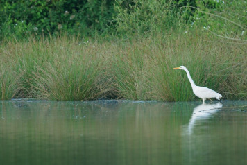 Bill & Linda's Excellent Adventure - 2