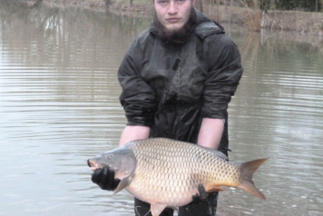 More New Arrivals - 6