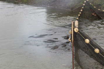 And we're ready to go!  - 2