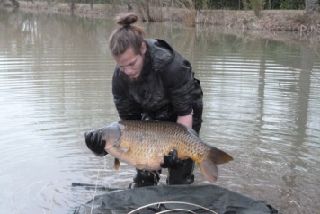 More New Arrivals - 2