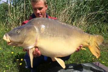 Record Breaking Week - 1