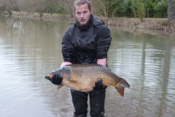 More New Arrivals - 3