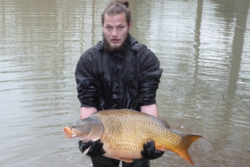 More New Arrivals - 4