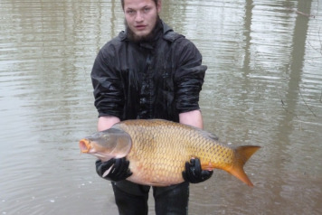 More New Arrivals - 5