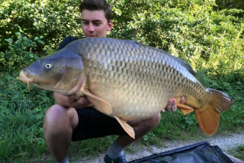 Record Breaking Week - 4