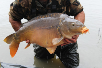 And we're ready to go!  - 6