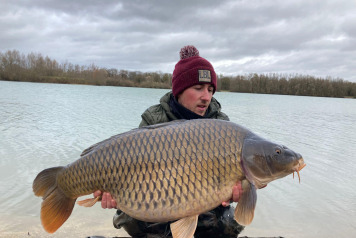 Additional commons - 1