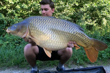 Record Breaking Week - 3