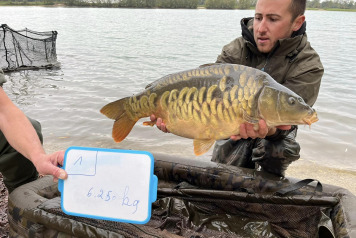 Additional Stocking - 1