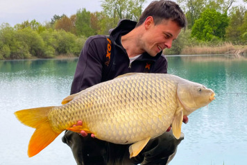 The Return Of The Commons! - 8