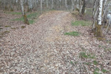 Path to Wooded Bank - 4