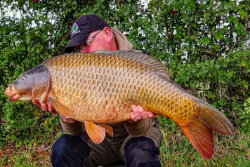 Video Diaries From Ragon This September - 1