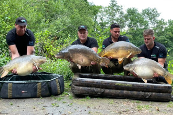 A few highlights from June - 2