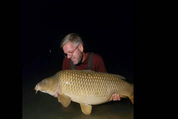 An Excellent Week - 4