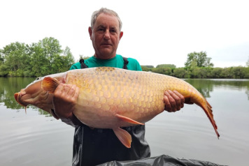 Some fresh news from Laroussi - 2