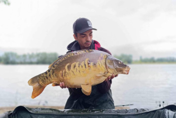 "Pretty fish festival" - 2