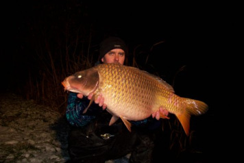 Another 55 carp stocked at Lillypool. Santa came early and emptied his sack! - 2