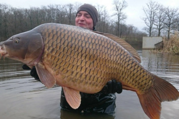 2014 Netting & Additional Stocking - 6