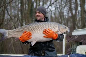 Returning Carp To The Lake - 6