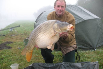 Questions and Answers - 1