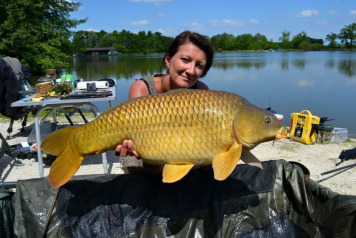 Catch Round-up from 17.5.15 to 23.5.15 - 2