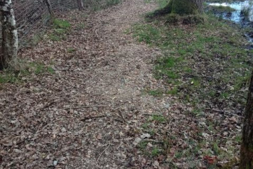 Path to Wooded Bank - 3