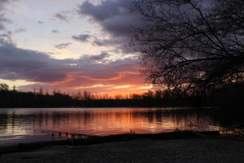 44 Carp In A Week For Nick Burrage - 2