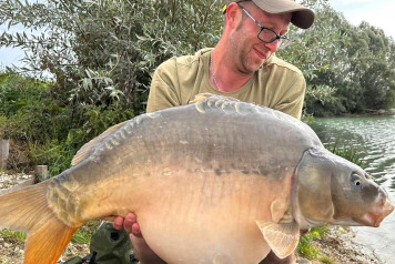 An Excellent Week - 1