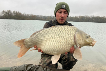 More Carp Stocked this November - 4