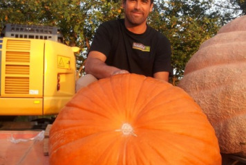 Giant Vegetables Results  - 4