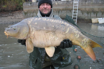 Netting Brocard Small - 5