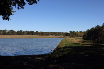 An update from the lake - 1